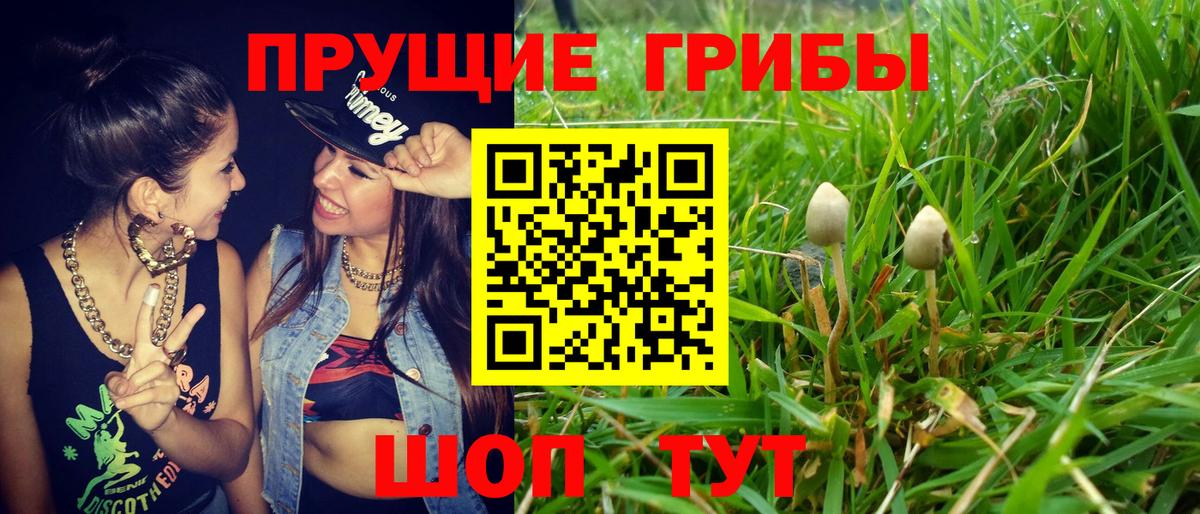 Ковров  Псилоцибиновые грибы мицелий  Вход с VPN  Галлюциногенные грибы ЛСД 